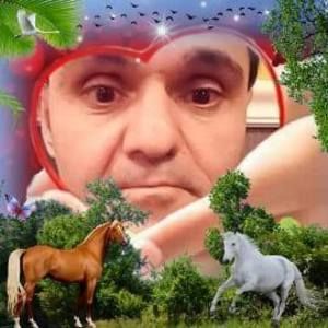 Meet your Posher, Patrick